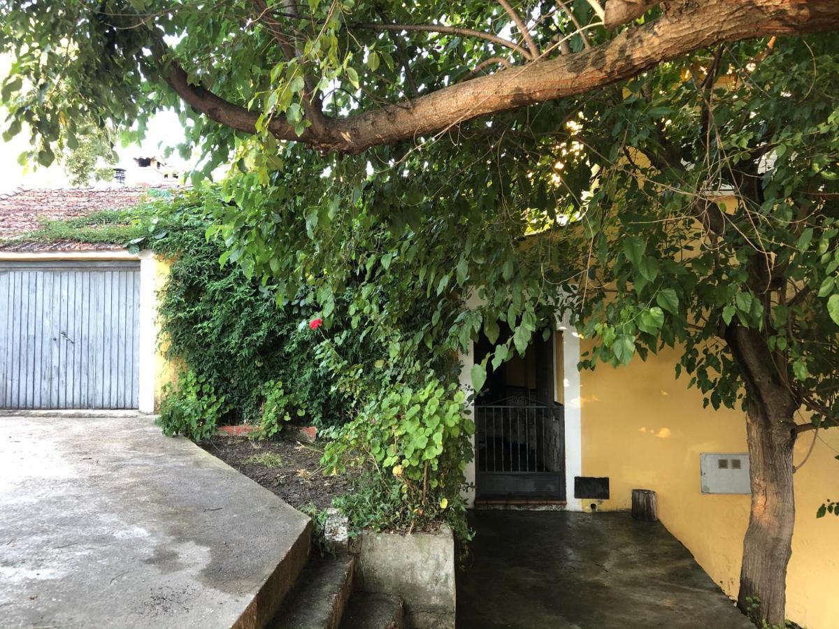 فيلا Casa Casillas La Parra  المظهر الخارجي الصورة